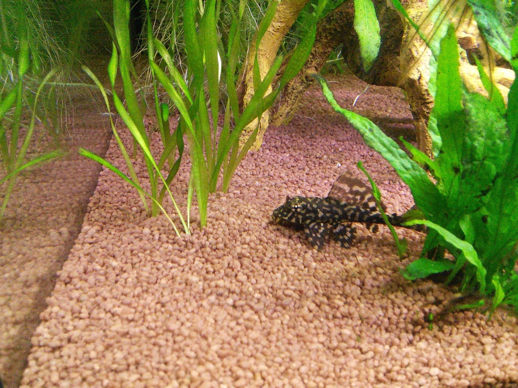 IMG_20150425_074555_zpswku4nkav.jpg