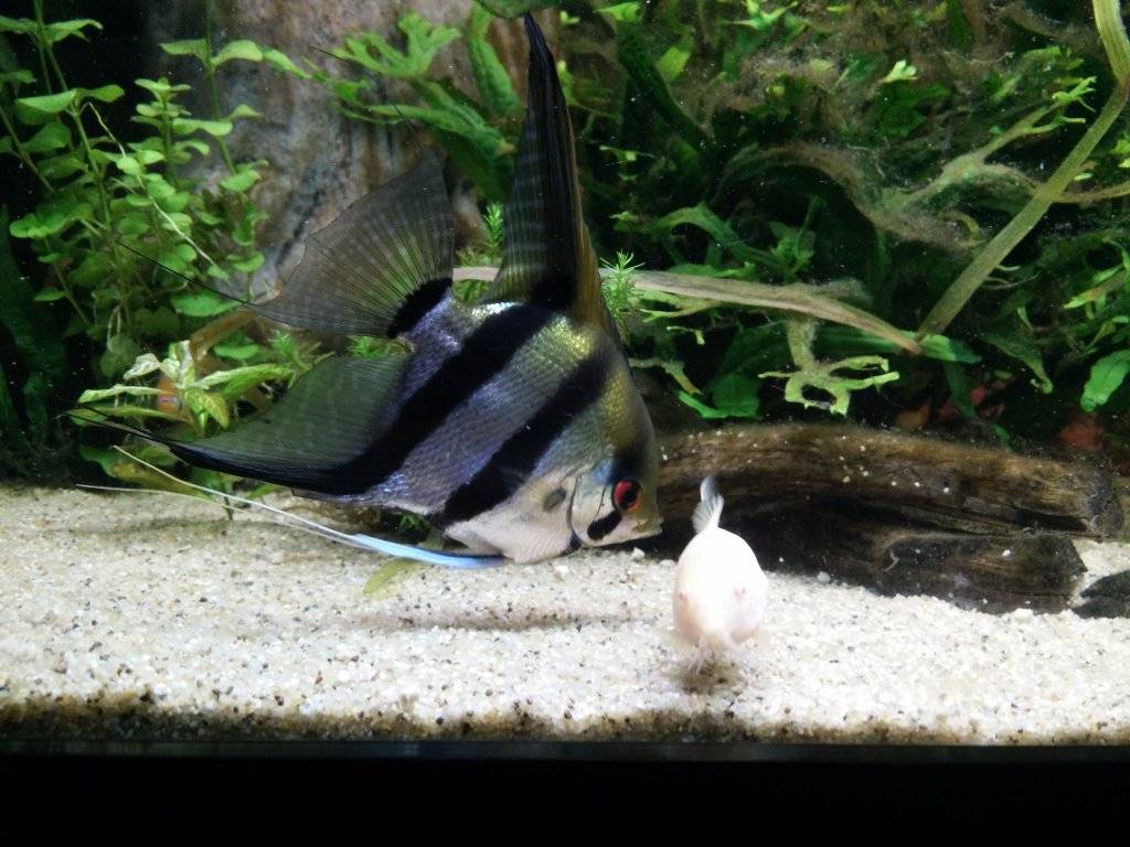 IMG_20160928_203038.jpg