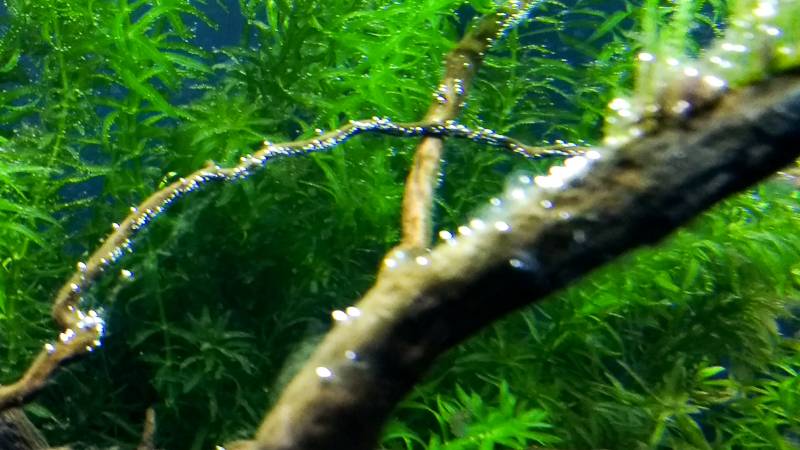 IMG_20161023_221708357.jpg