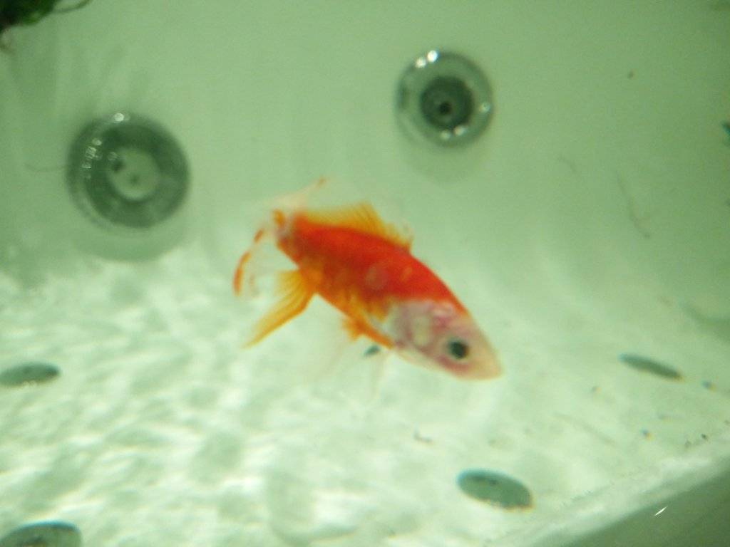 IMG_20170614_110208.jpg