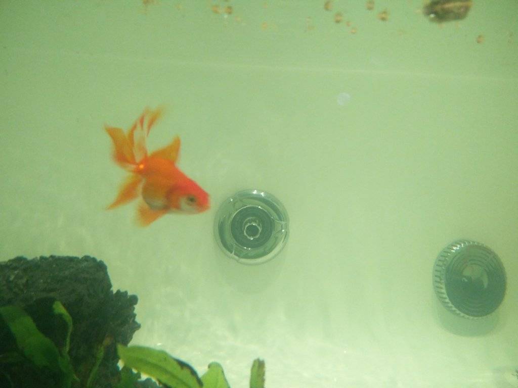 IMG_20170616_071126.jpg