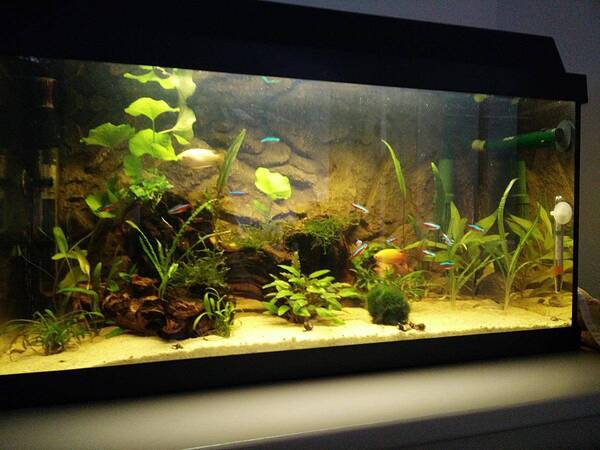 IMG_20170807_204910 copy.jpg