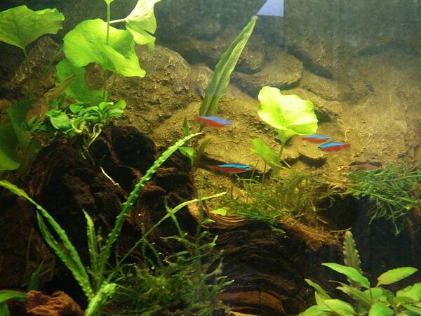 IMG_20170807_204931 copy.jpg