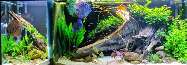 IMG_20171220_185243.jpg