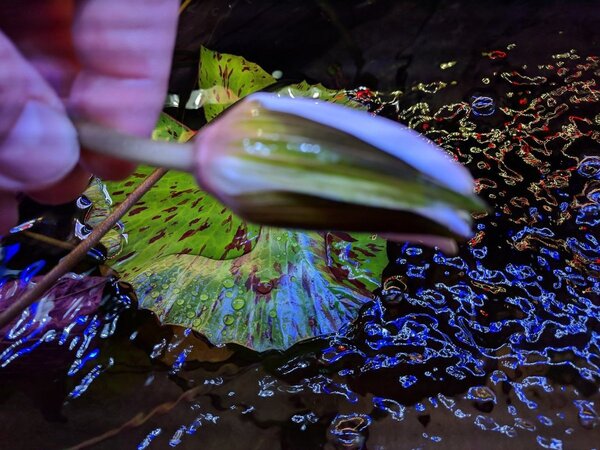 IMG_20180112_134207.jpg