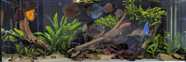 IMG_20180216_121752 bewerkt 053.jpg