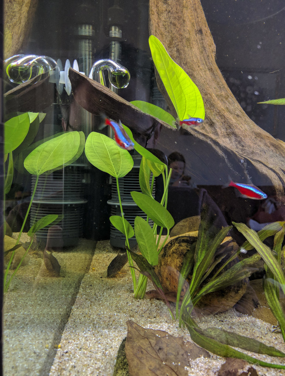 IMG_20180216_151054 bewerkt 055.jpg