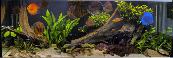 IMG_20180216_165626 bewerkt 059.jpg