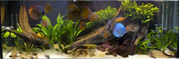 IMG_20180216_170334 bewerkt 056.jpg