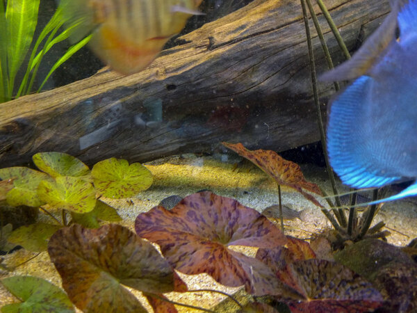 IMG_20180216_170403 bewerkt 058.jpg