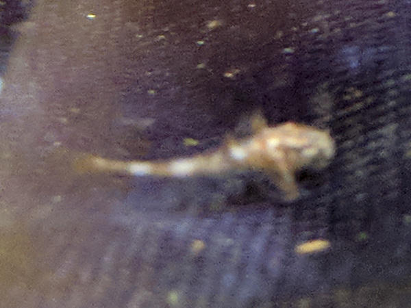 IMG_20180222_131935 bewerkt 063.jpg