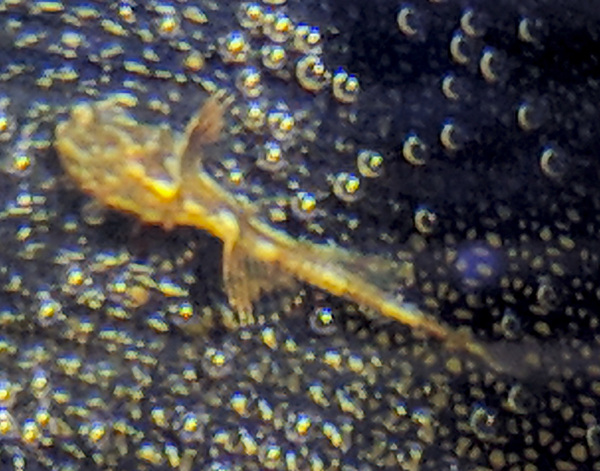 IMG_20180222_145804 bewerkt 066.jpg