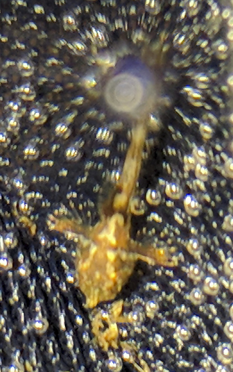 IMG_20180222_145833 bewerkt 065.jpg