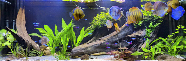 IMG_20180301_202104 bewerkt 229.jpg