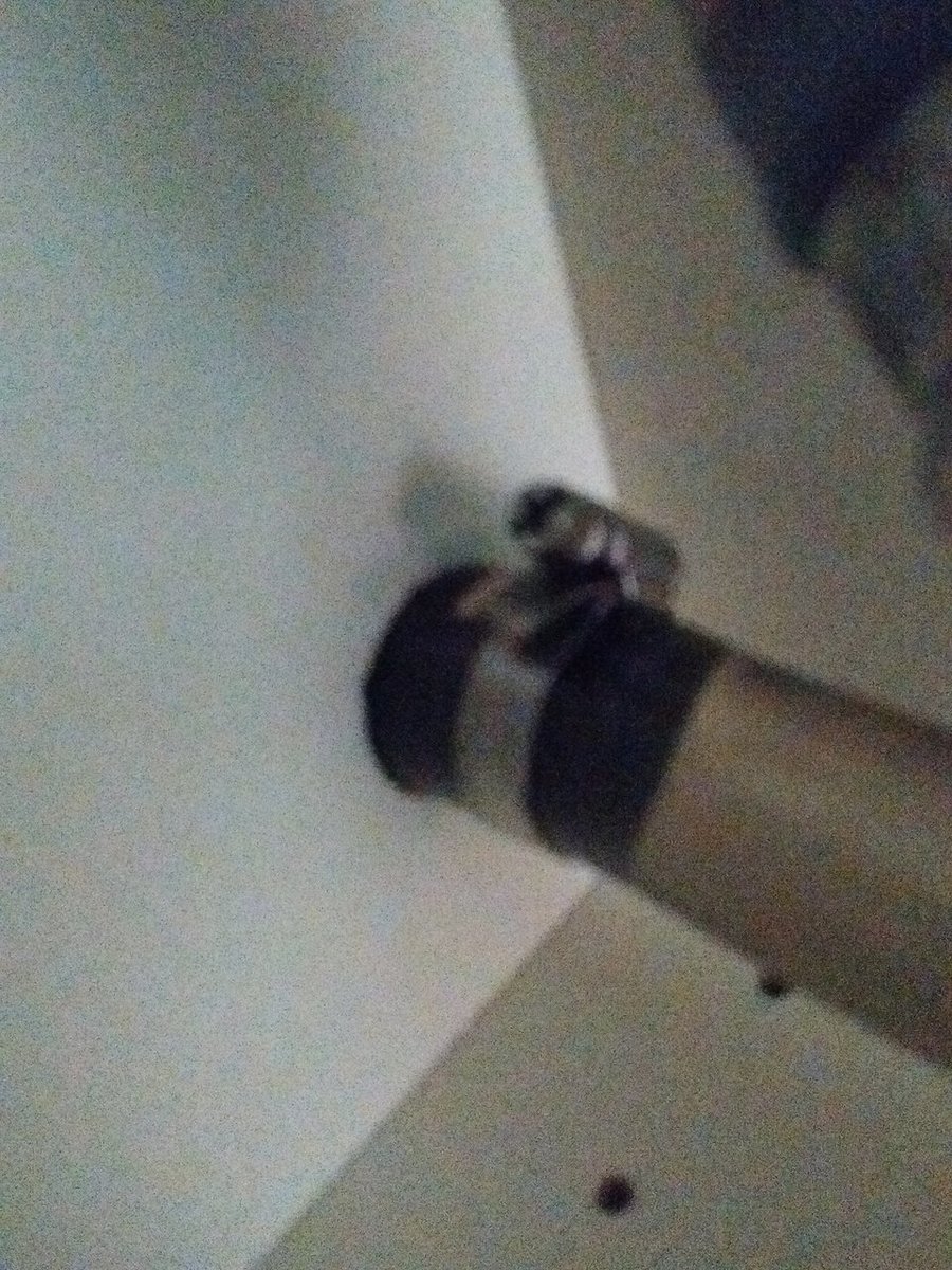 IMG_20180903_163950178.jpg