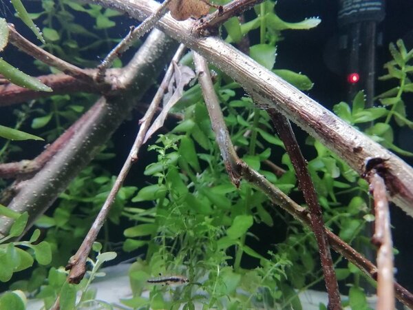 IMG_20181203_213805.jpg
