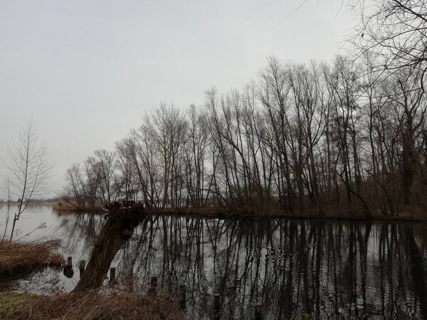 IMG_20190130_100627.jpg