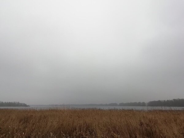 IMG_20190205_111607.jpg