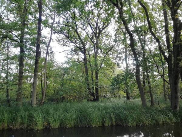 IMG_20191003_105910.jpg