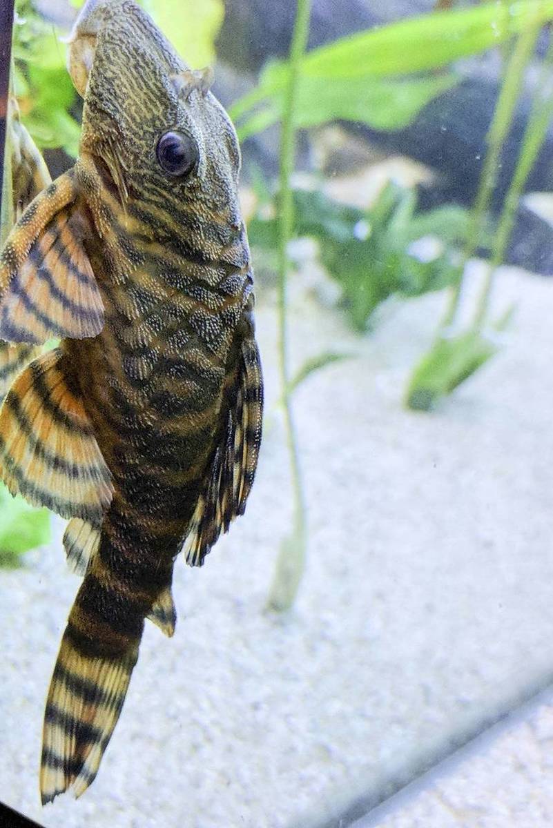 IMG_20191107_214523_bewerkt_0156.jpg