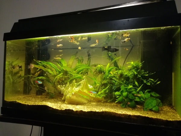 IMG_20191206_190536.jpg