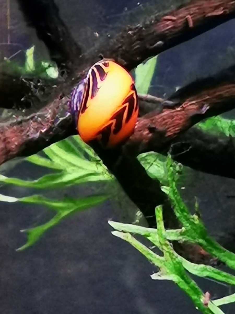 IMG_20200107_203811.jpg