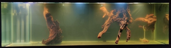 IMG_20200203_115557.jpg