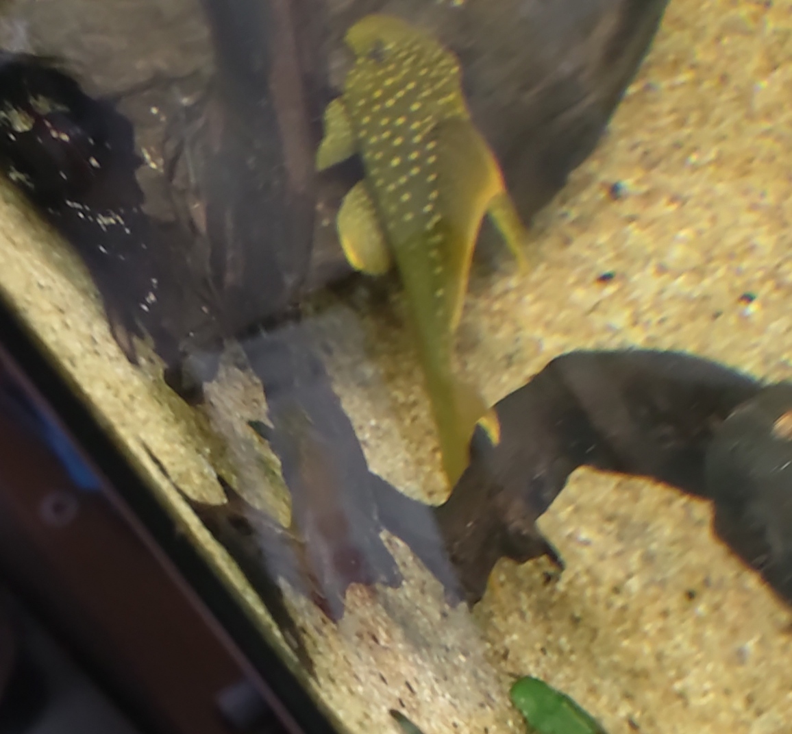 IMG_20200426_153529.jpg