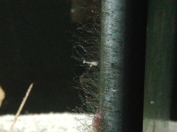 IMG_20200522_102349.jpg