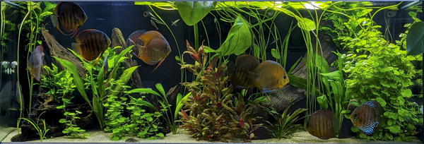 IMG_20200621_193342 (1)_bewerkt_0791.jpg