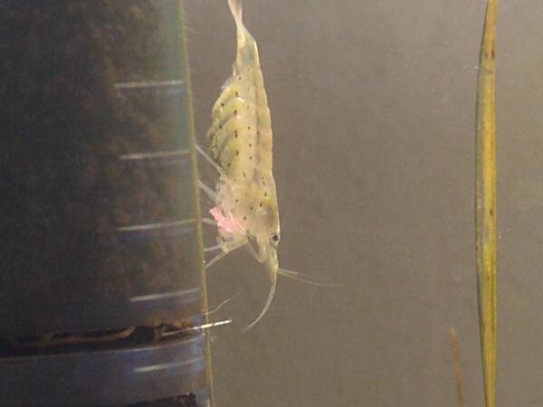 IMG_20200924_181303887.jpg