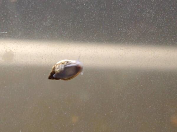 IMG_20200924_181438063.jpg