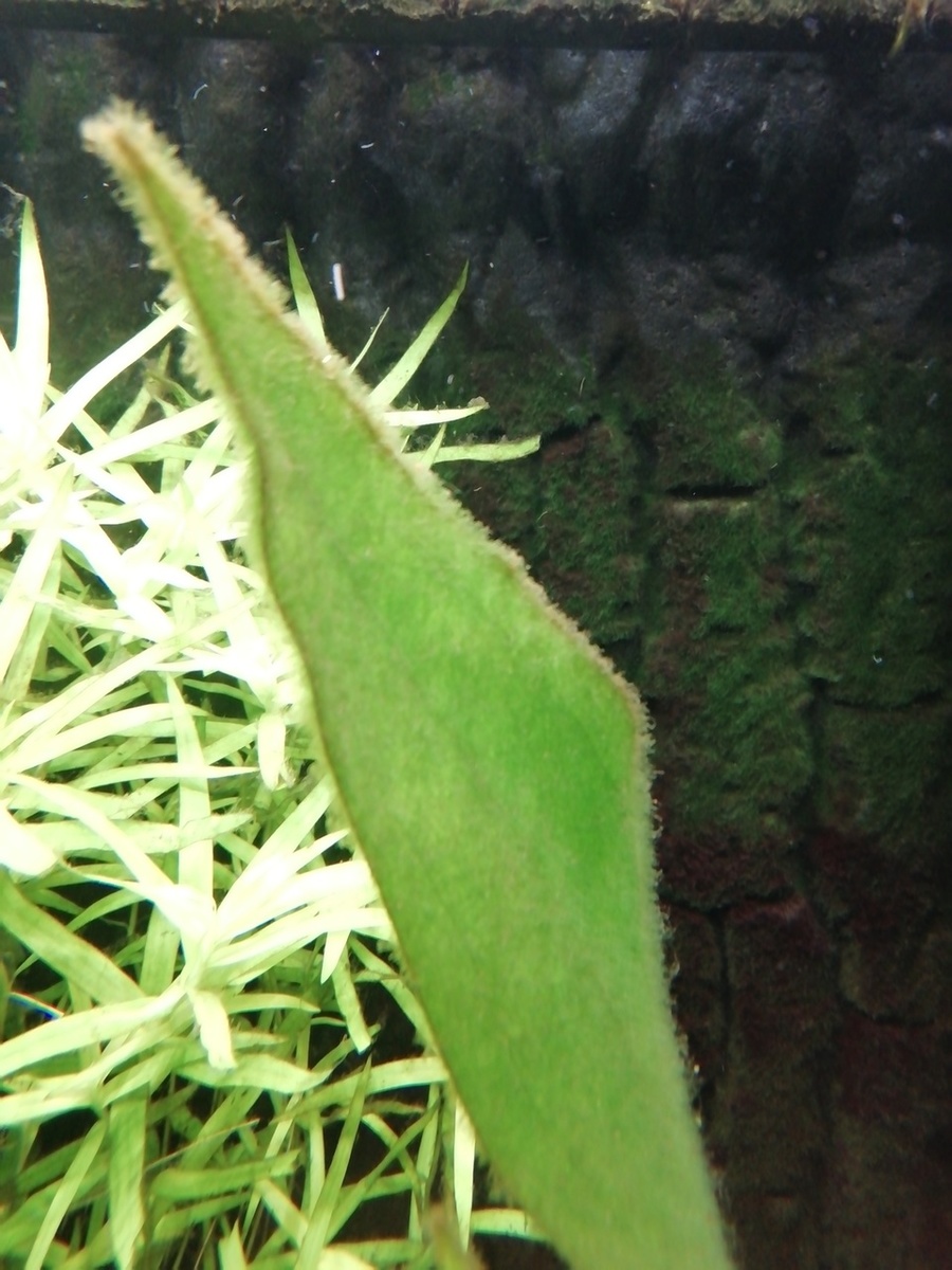 IMG_20200927_125515.jpg
