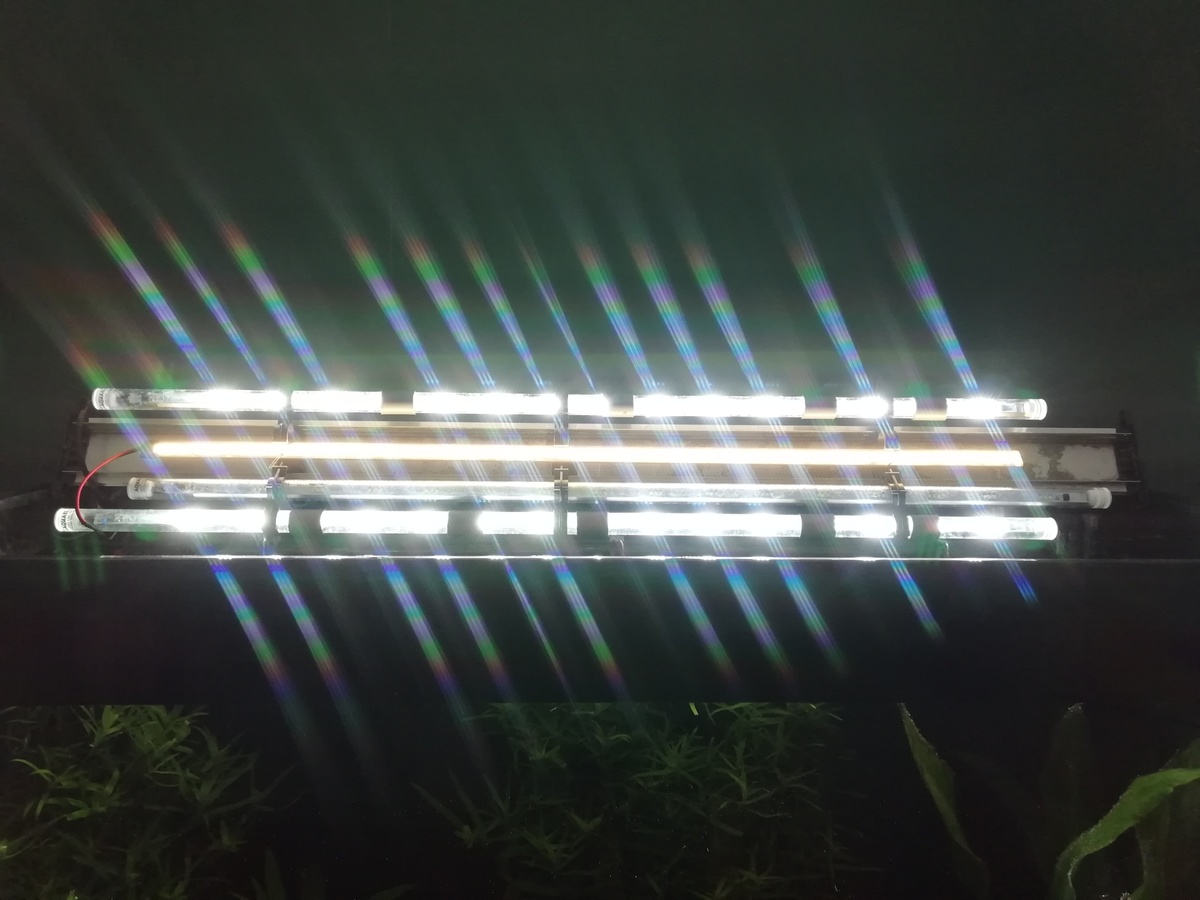 IMG_20201004_152101.jpg
