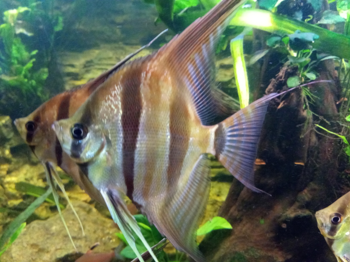 IMG_20201008_192251.jpg
