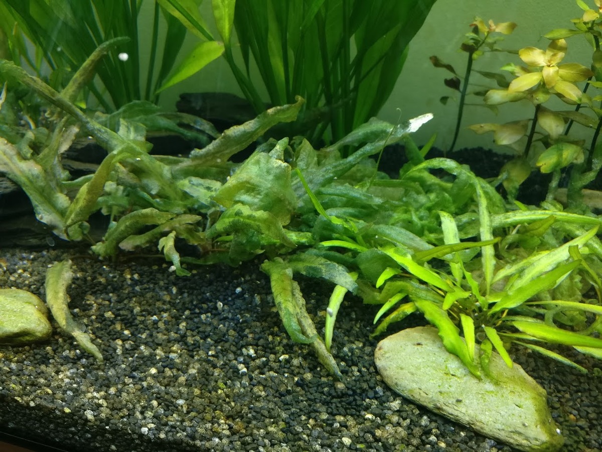 IMG_20201209_124415.jpg