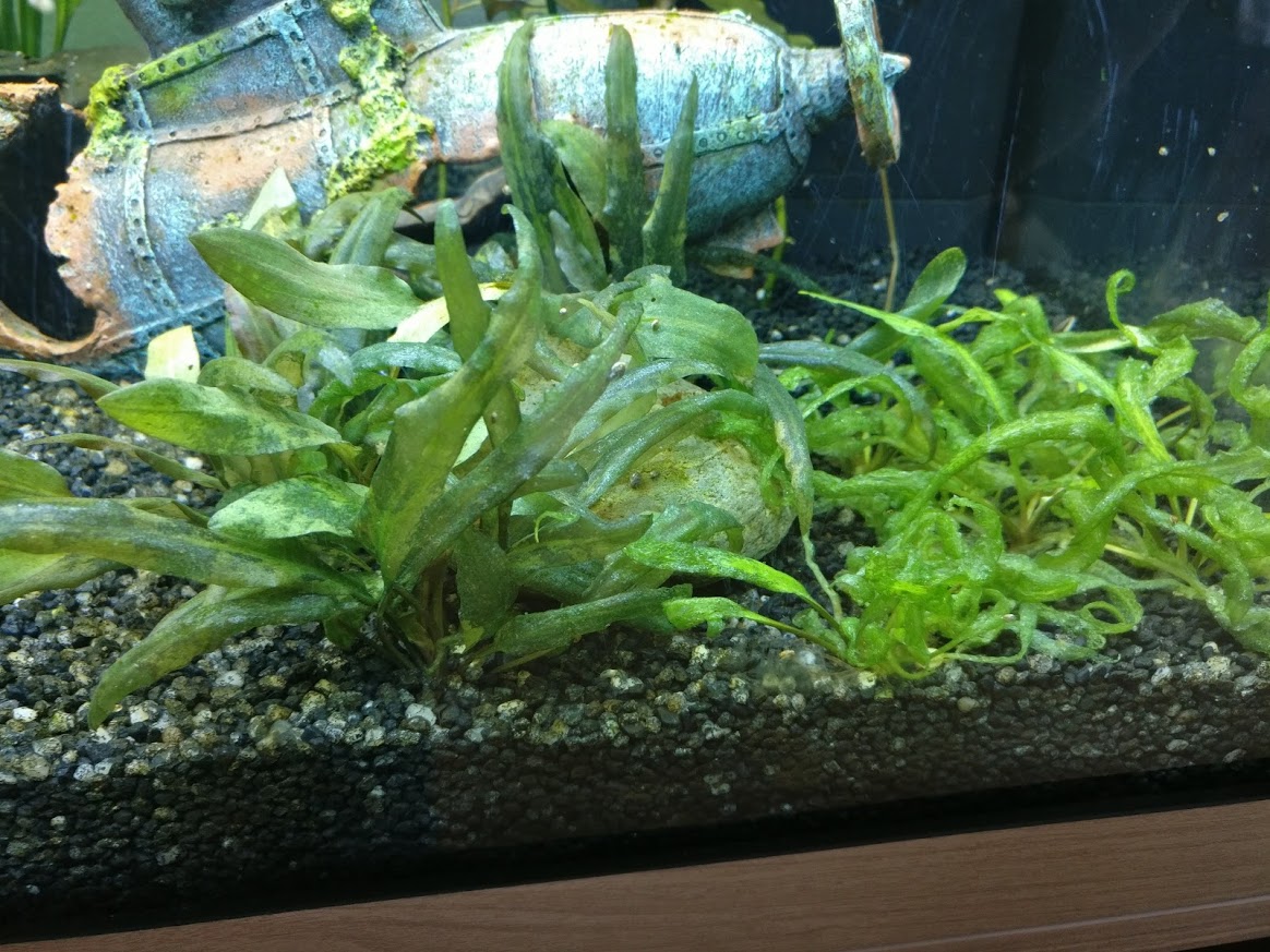 IMG_20201209_124422.jpg