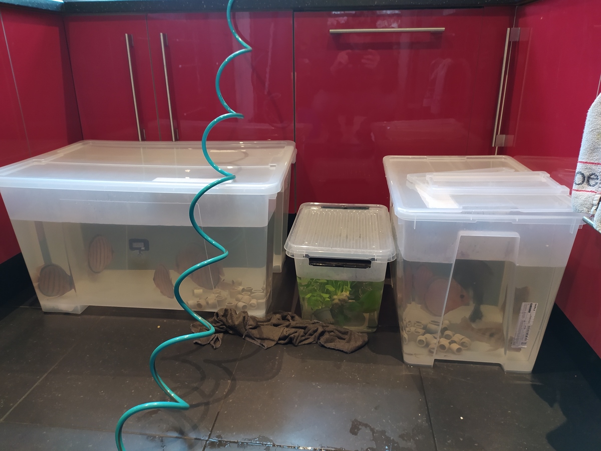 img_20201226_105200-jpg.315134