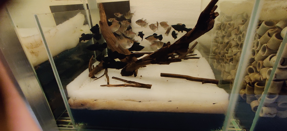 IMG_20201227_202646.jpg
