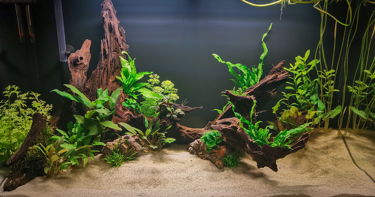 IMG_20220104_164825 (1).jpg