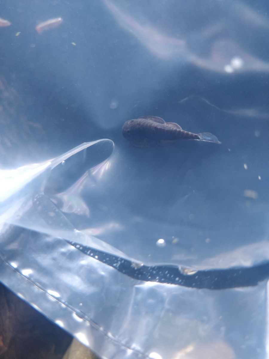 IMG_20220112_195136.jpg