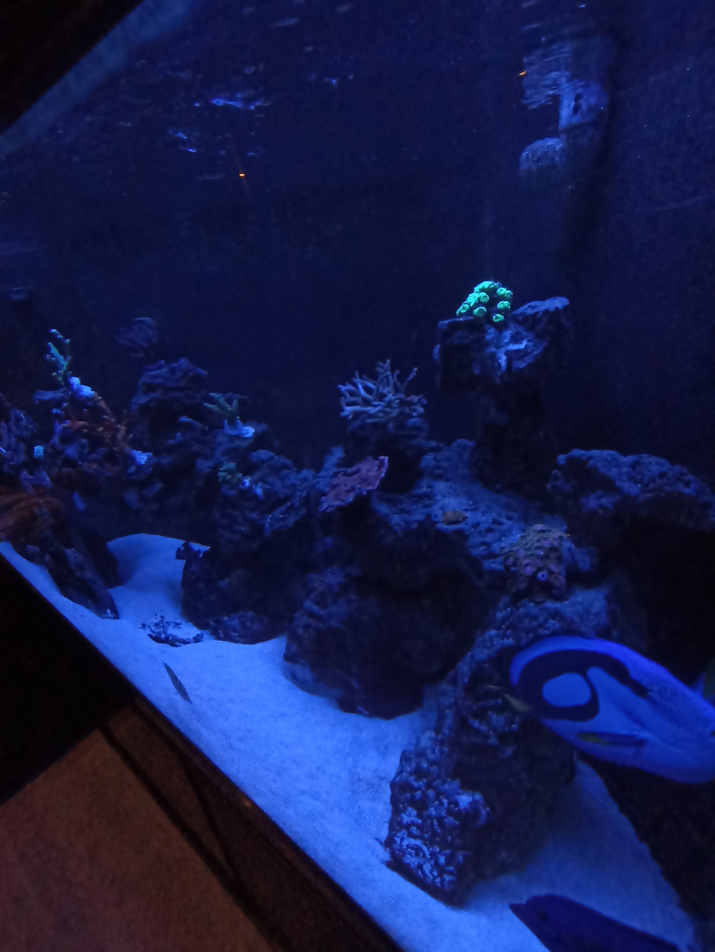 IMG_20240221_185345.jpg