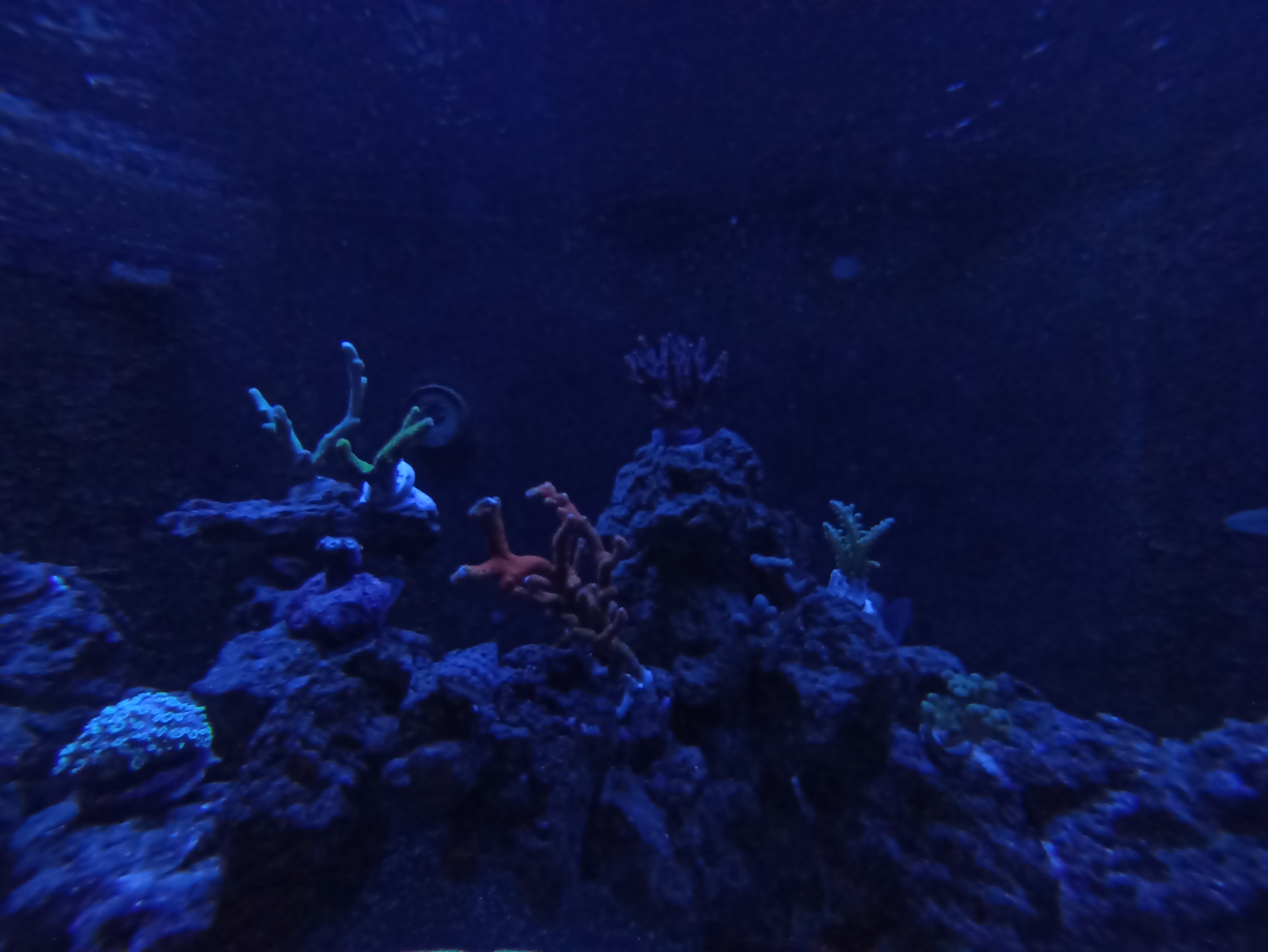 IMG_20240221_185440.jpg