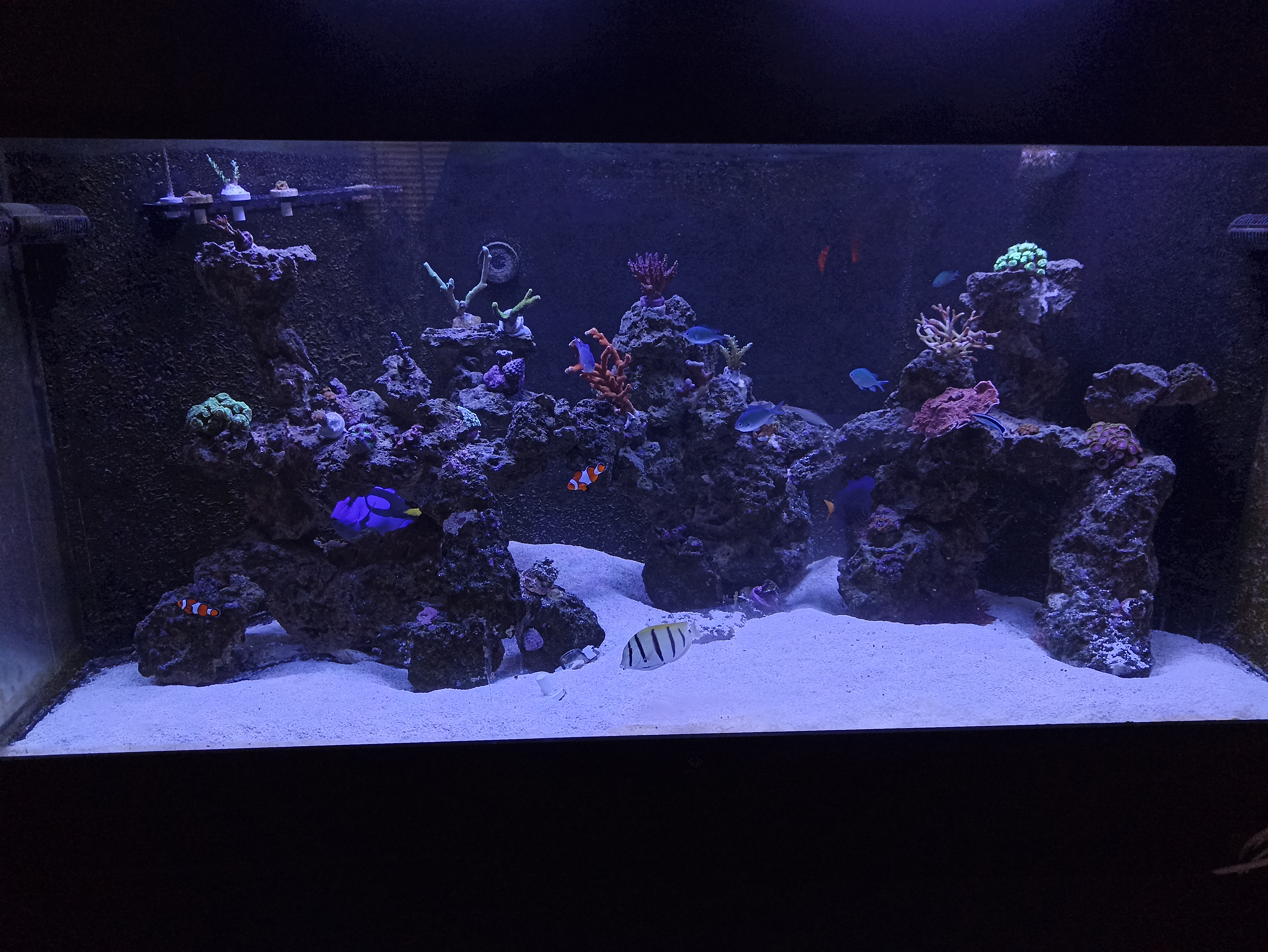 IMG_20240222_140349.jpg