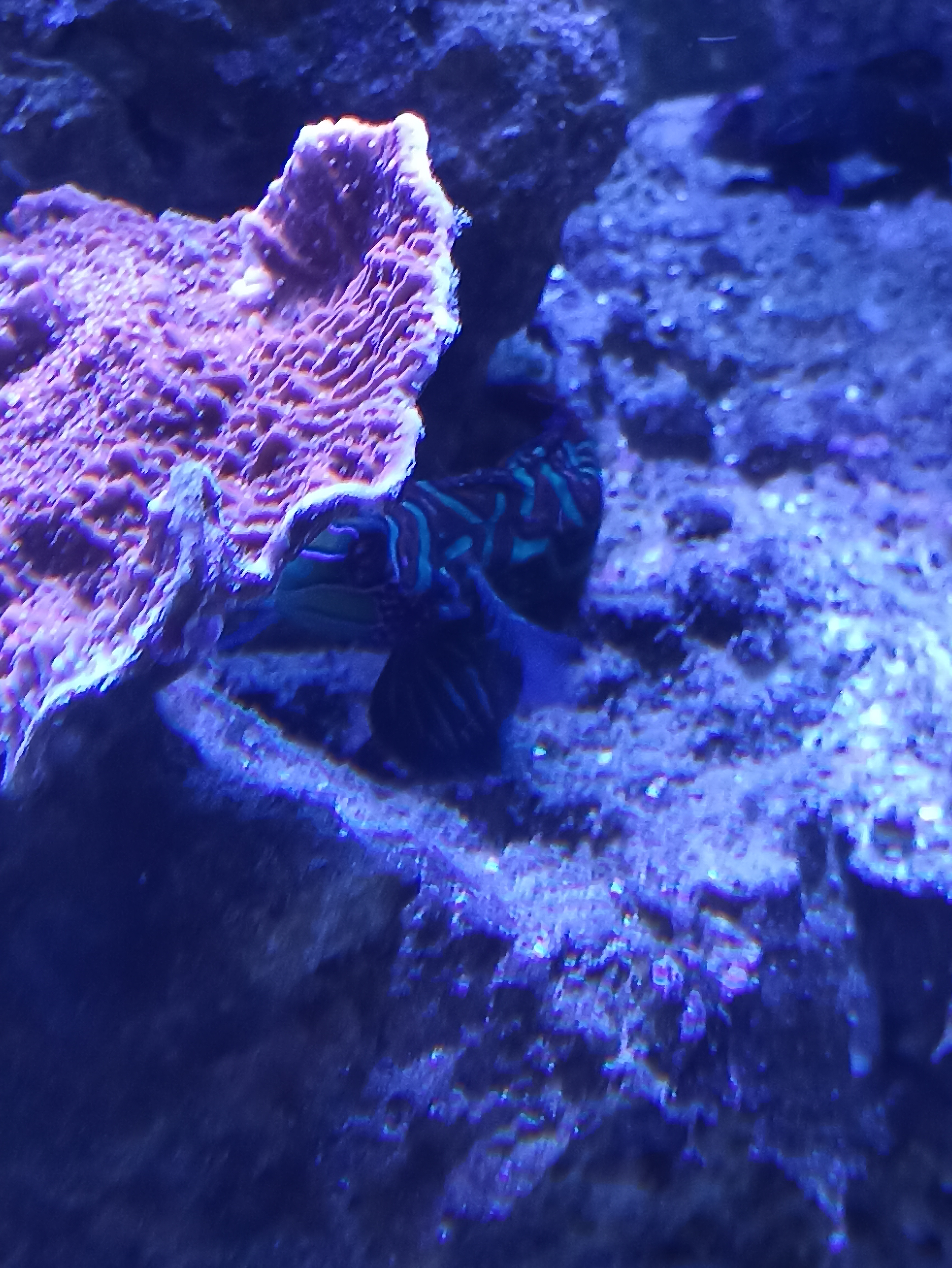 IMG_20240222_175132.jpg