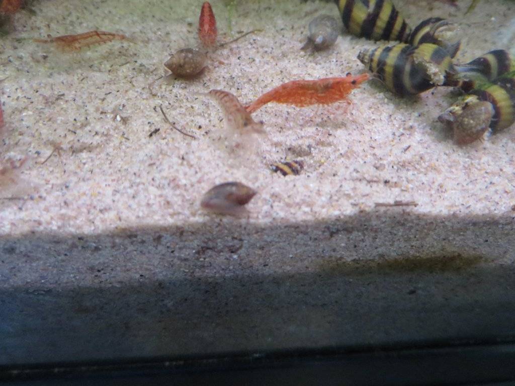 IMG_2632.JPG