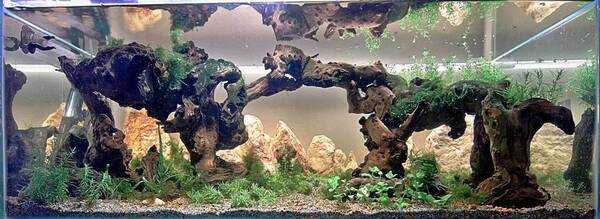 IMG_3336D_N_L_Detail (FILEminimizer).jpg