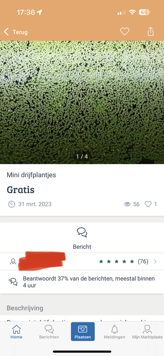 IMG_3555.jpeg