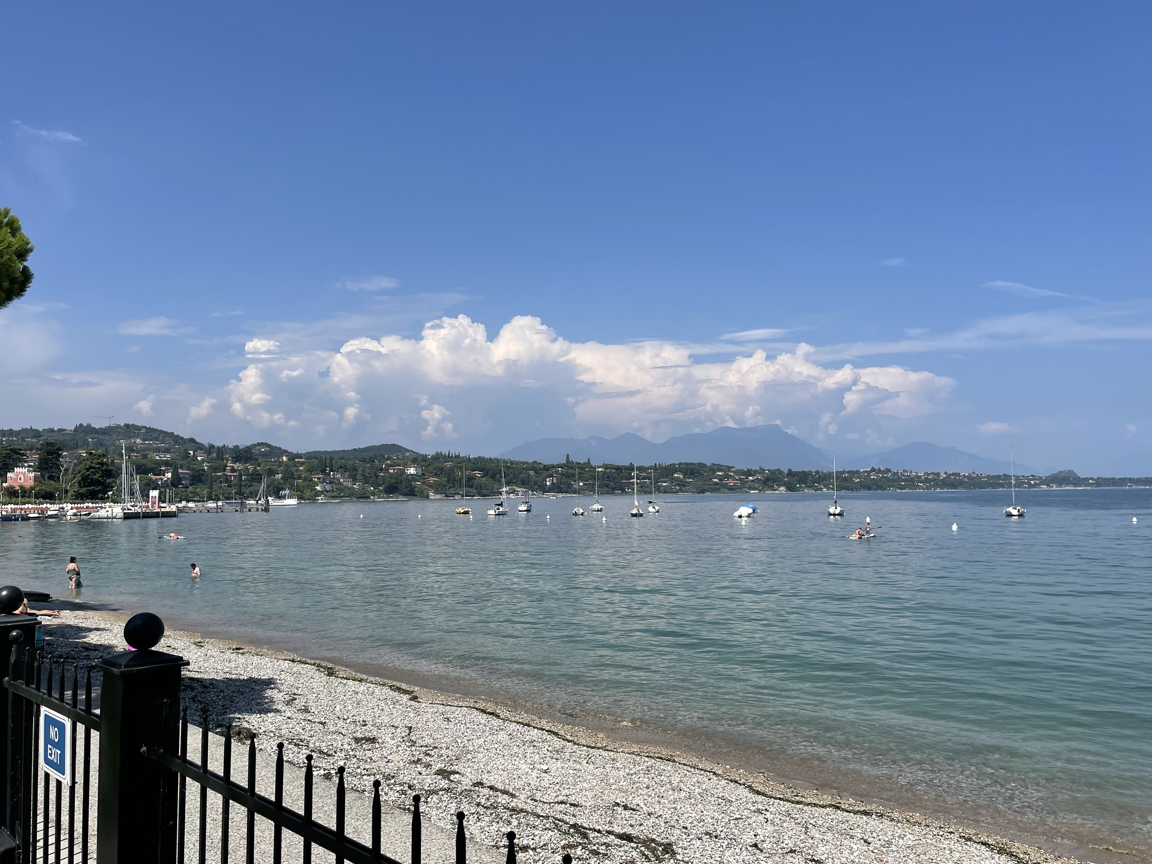 IMG_4468.jpeg