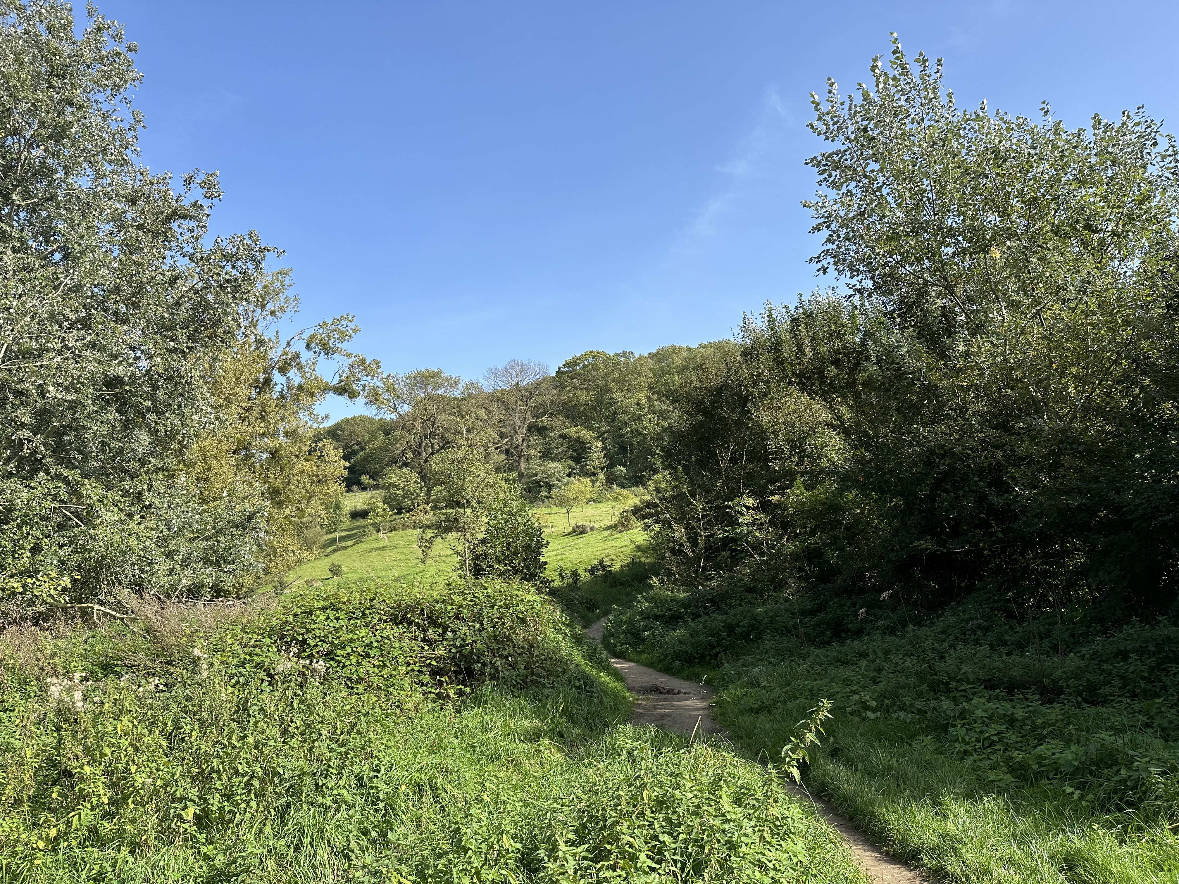 IMG_4597.jpeg